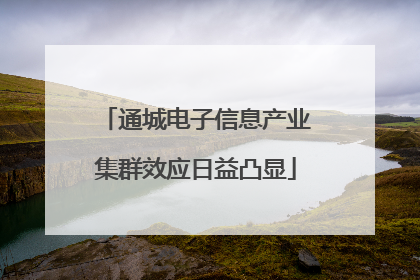 通城电子信息产业集群效应日益凸显