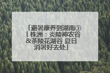 避暑康养到湖南③丨株洲：炎陵神农谷&茶陵花湖谷 夏日消暑好去处