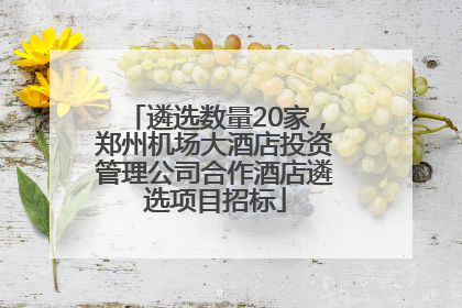 遴选数量20家，郑州机场大酒店投资管理公司合作酒店遴选项目招标