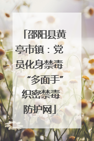 邵阳县黄亭市镇：党员化身禁毒“多面手” 织密禁毒防护网