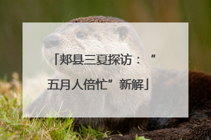 郏县三夏探访:“五月人倍忙”新解
