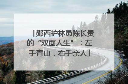 郧西护林员陈长贵的“双面人生”：左手青山，右手亲人