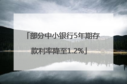 部分中小银行5年期存款利率降至1.2%