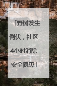 野树发生倒伏，社区4小时消除安全隐患