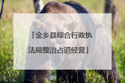 金乡县综合行政执法局整治占道经营