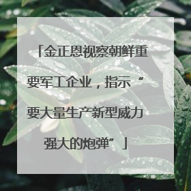 金正恩视察朝鲜重要军工企业，指示“要大量生产新型威力强大的炮弹”