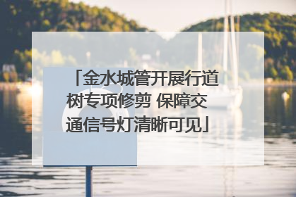 金水城管开展行道树专项修剪 保障交通信号灯清晰可见