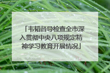 韦韬督导检查全市深入贯彻中央八项规定精神学习教育开展情况