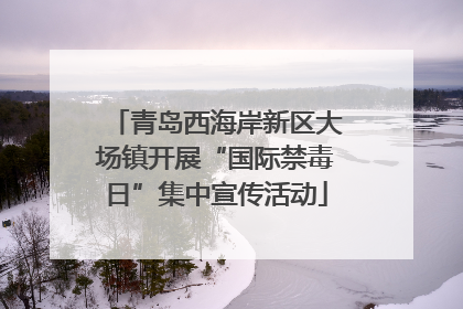 青岛西海岸新区大场镇开展“国际禁毒日”集中宣传活动