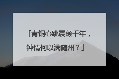 青铜心跳震颤千年，钟情何以满随州？
