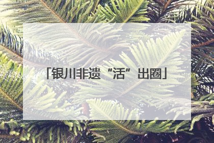 银川非遗“活”出圈
