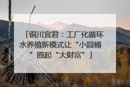铜川宜君：工厂化循环水养殖新模式让“小圆桶”圈起“大财富”