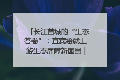 长江首城的“生态答卷”：宜宾绘就上游生态屏障新图景｜中华环保世纪行