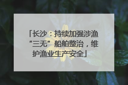 长沙：持续加强涉渔“三无”船舶整治，维护渔业生产安全