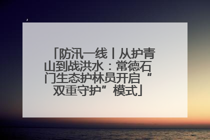 防汛一线丨从护青山到战洪水：常德石门生态护林员开启“双重守护”模式