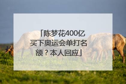 陈梦花400亿买下奥运会单打名额？本人回应