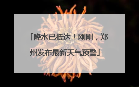 降水已抵达！刚刚，郑州发布最新天气预警