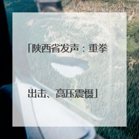 陕西省发声：重拳出击、高压震慑