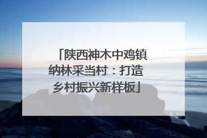 陕西神木中鸡镇纳林采当村：打造乡村振兴新样板