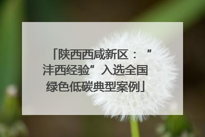 陕西西咸新区：“沣西经验”入选全国绿色低碳典型案例