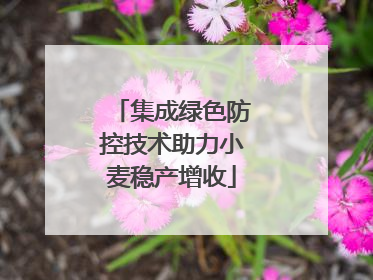 集成绿色防控技术助力小麦稳产增收