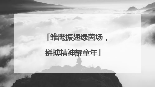 雏鹰振翅绿茵场，拼搏精神耀童年