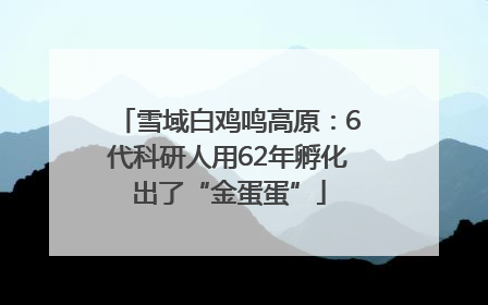 雪域白鸡鸣高原：6代科研人用62年孵化出了“金蛋蛋”