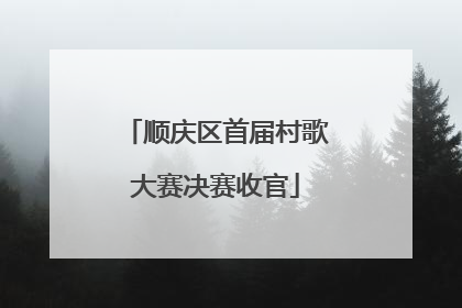 顺庆区首届村歌大赛决赛收官
