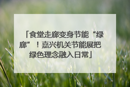 食堂走廊变身节能“绿廊”！嘉兴机关节能展把绿色理念融入日常
