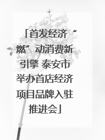 首发经济“燃”动消费新引擎 泰安市举办首店经济项目品牌入驻推进会