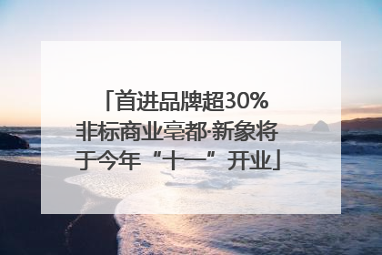 首进品牌超30% 非标商业亳都·新象将于今年“十一”开业