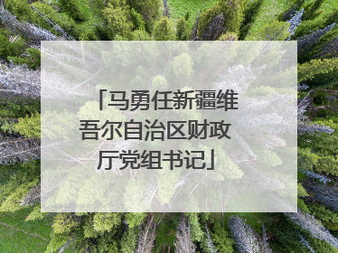 马勇任新疆维吾尔自治区财政厅党组书记