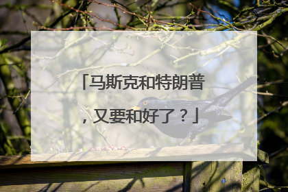 马斯克和特朗普，又要和好了？