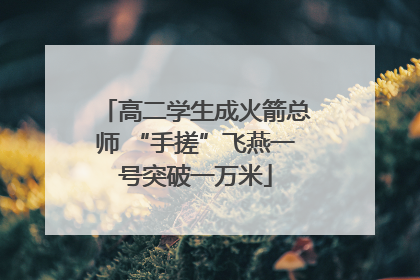 高二学生成火箭总师 “手搓”飞燕一号突破一万米