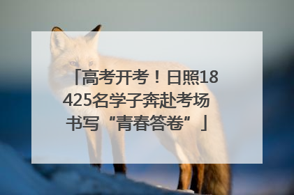 高考开考！日照18425名学子奔赴考场书写“青春答卷”