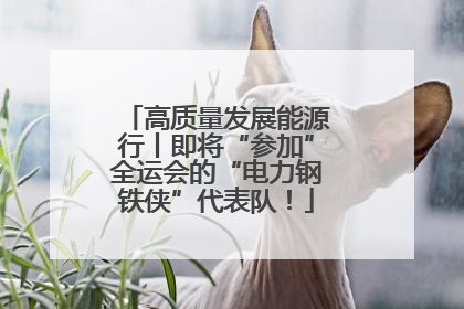高质量发展能源行丨即将“参加”全运会的“电力钢铁侠”代表队！