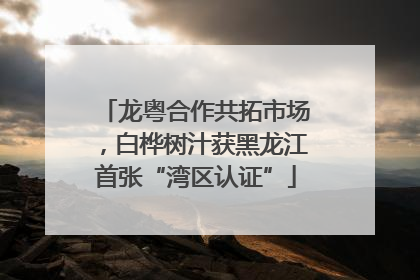 龙粤合作共拓市场，白桦树汁获黑龙江首张“湾区认证”