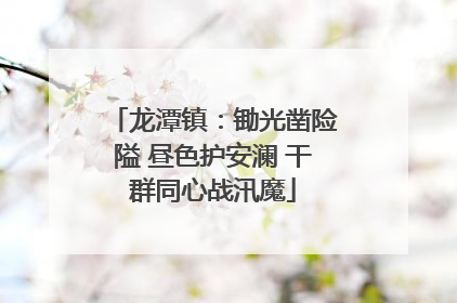 龙潭镇：锄光凿险隘 昼色护安澜 干群同心战汛魔