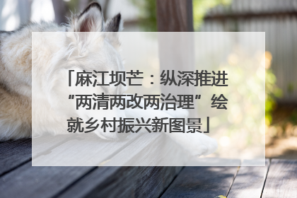 麻江坝芒：纵深推进“两清两改两治理”绘就乡村振兴新图景