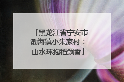 黑龙江省宁安市渤海镇小朱家村：山水环抱稻飘香