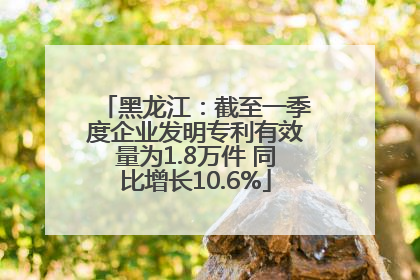 黑龙江：截至一季度企业发明专利有效量为1.8万件 同比增长10.6%