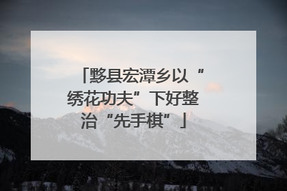 黟县宏潭乡以“绣花功夫”下好整治“先手棋”