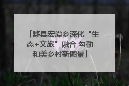 黟县宏潭乡深化“生态+文旅”融合 勾勒和美乡村新图景