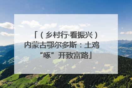 （乡村行·看振兴）内蒙古鄂尔多斯：土鸡“啄”开致富路