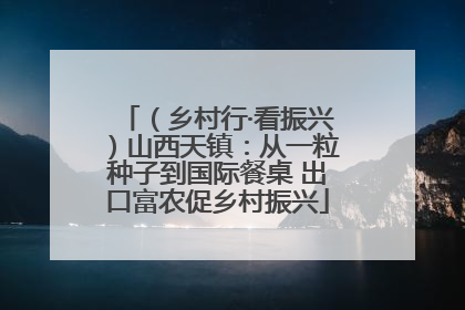 （乡村行·看振兴）山西天镇：从一粒种子到国际餐桌 出口富农促乡村振兴