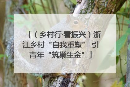 （乡村行·看振兴）浙江乡村“自我重塑” 引青年“筑巢生金”