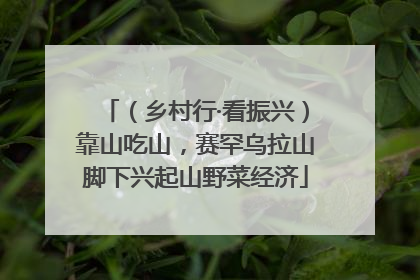 （乡村行·看振兴）靠山吃山，赛罕乌拉山脚下兴起山野菜经济