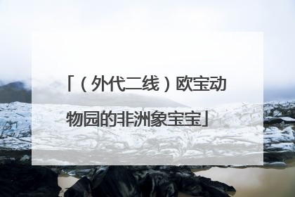 （外代二线）欧宝动物园的非洲象宝宝
