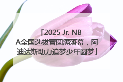 2025 Jr. NBA全国选拔营圆满落幕，阿迪达斯助力追梦少年圆梦