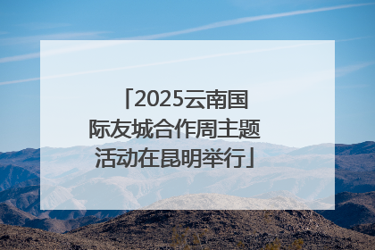 2025云南国际友城合作周主题活动在昆明举行